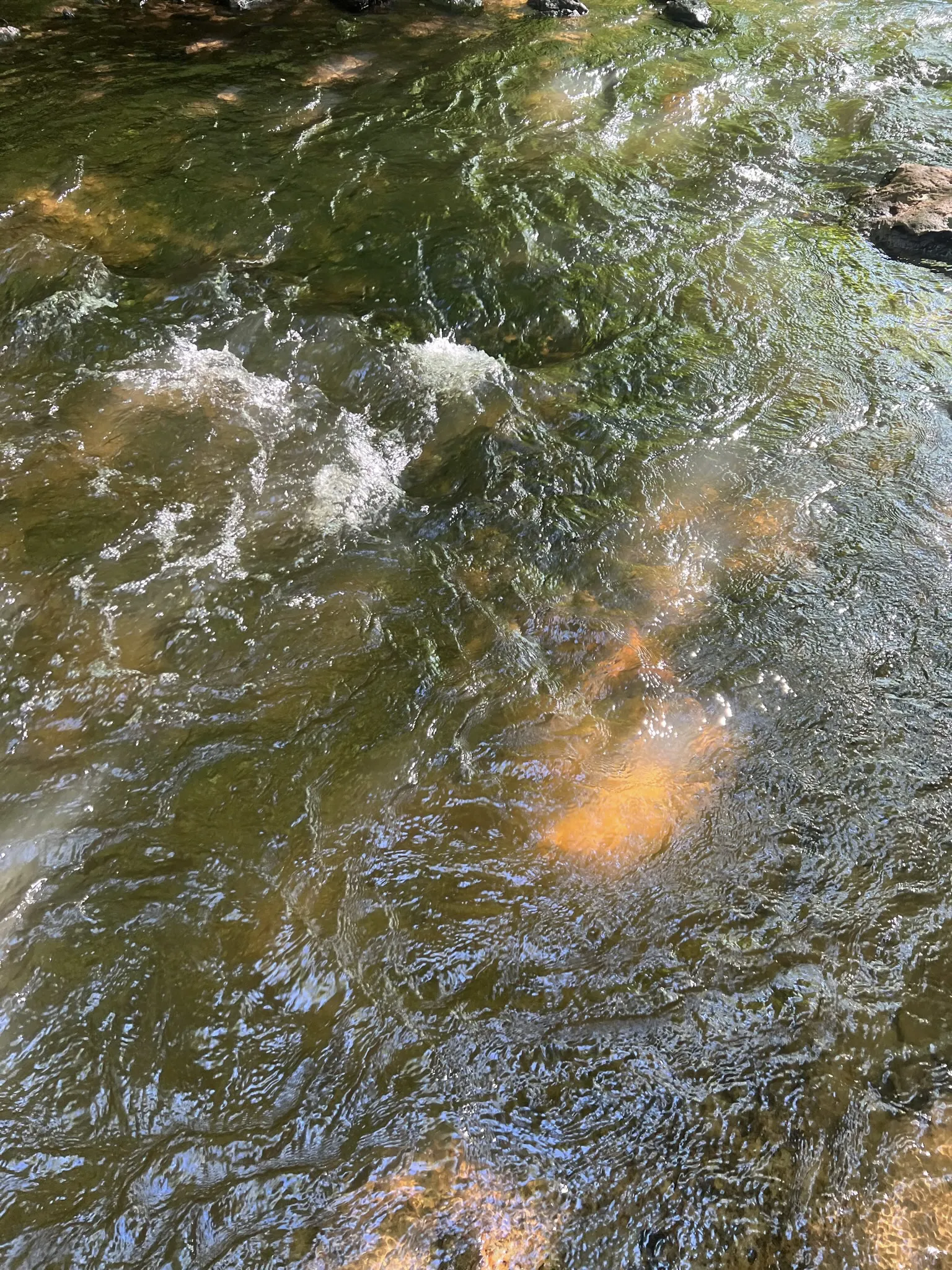 Drink The River